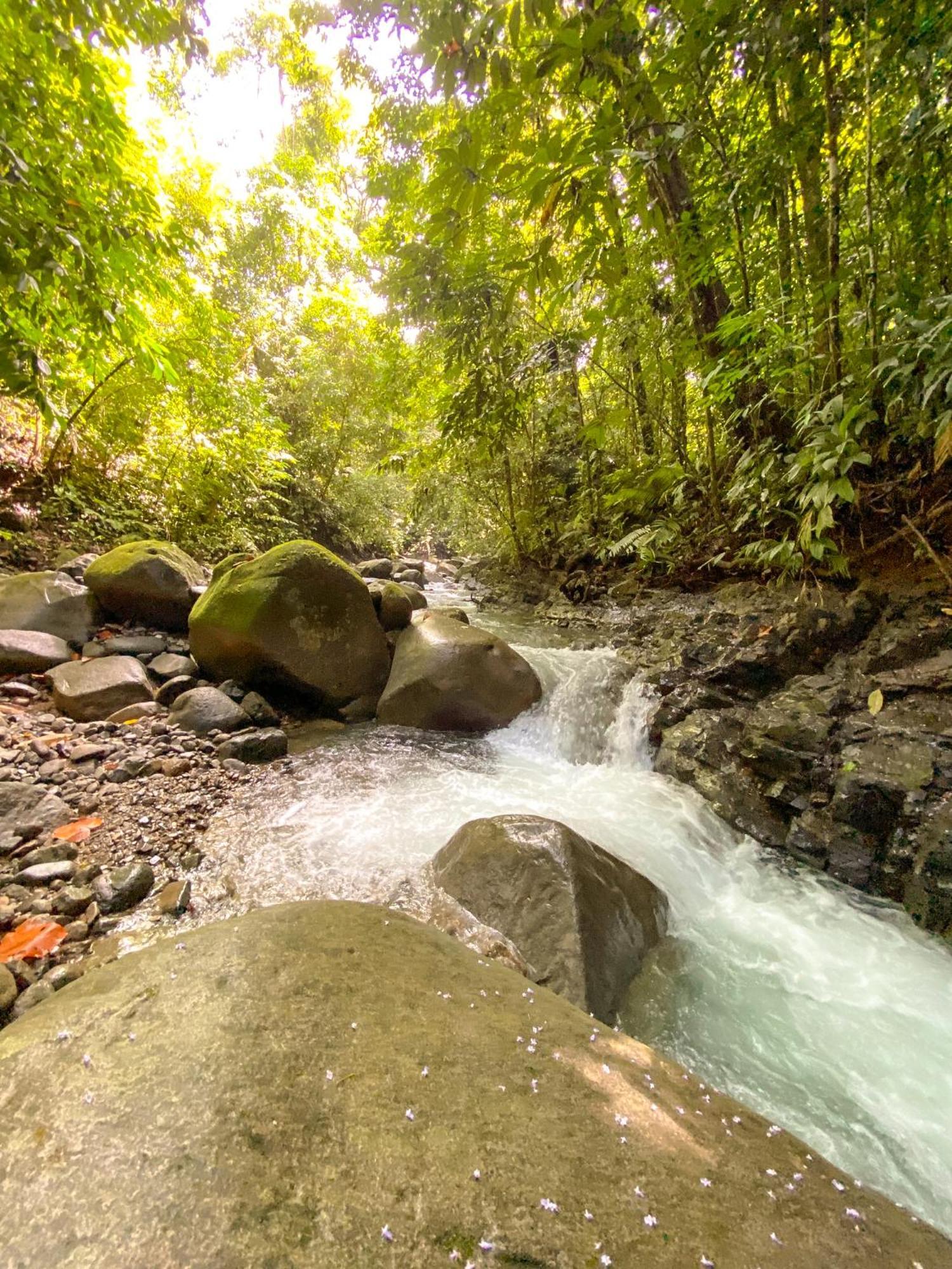 Casa River Stone Al Pie Del Rio Ojochal Dış mekan fotoğraf