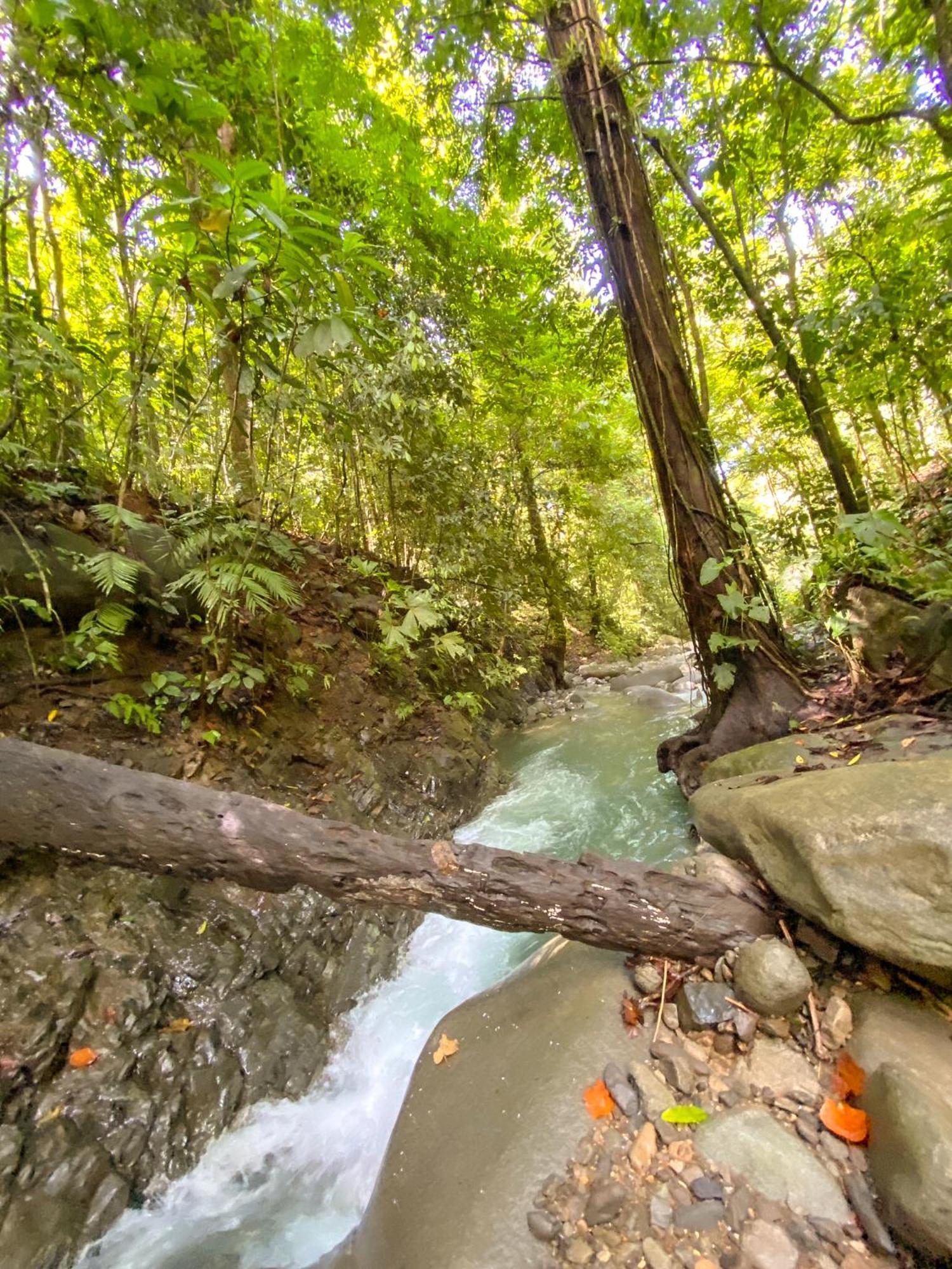 Casa River Stone Al Pie Del Rio Ojochal Dış mekan fotoğraf