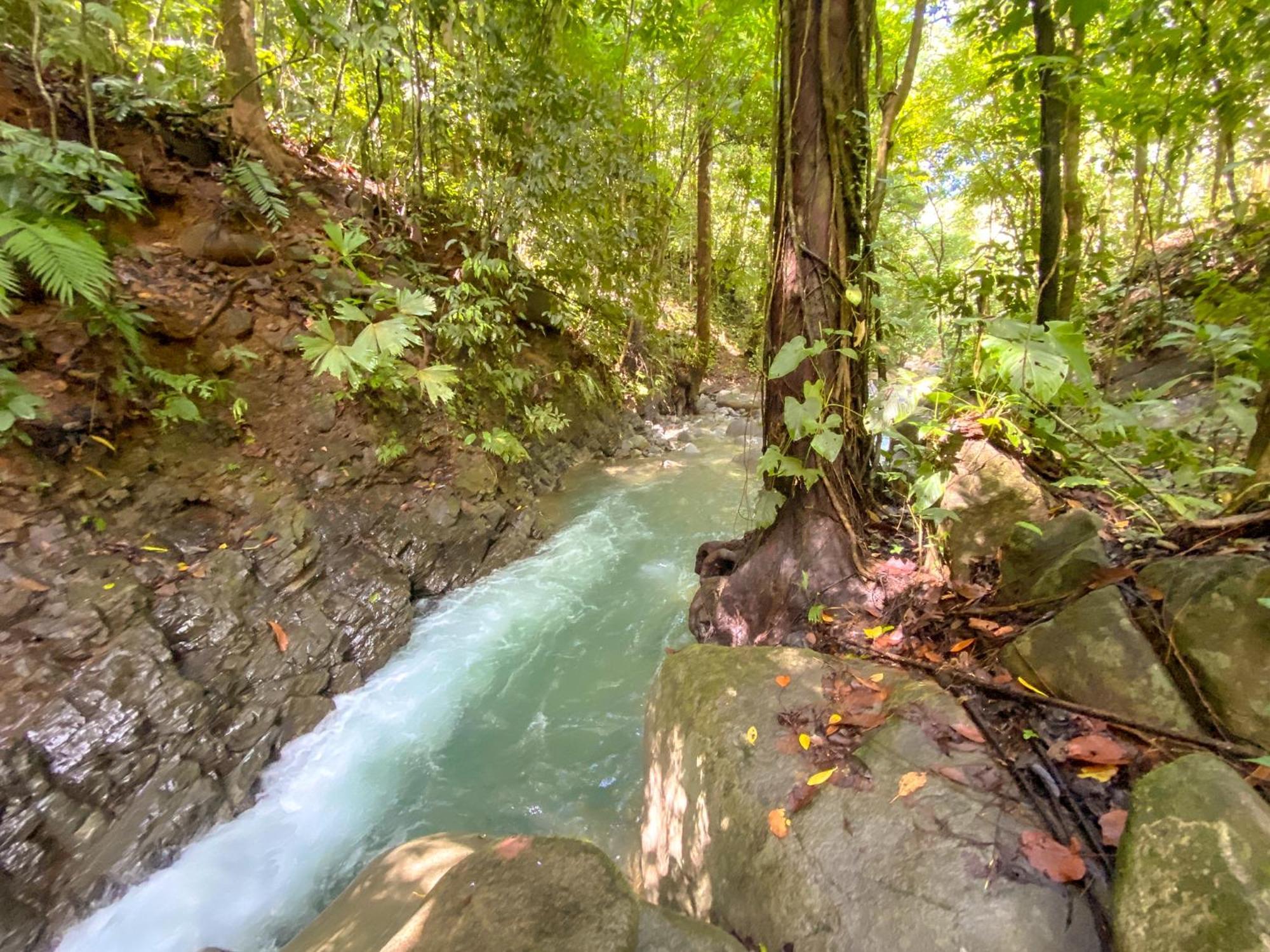 Casa River Stone Al Pie Del Rio Ojochal Dış mekan fotoğraf