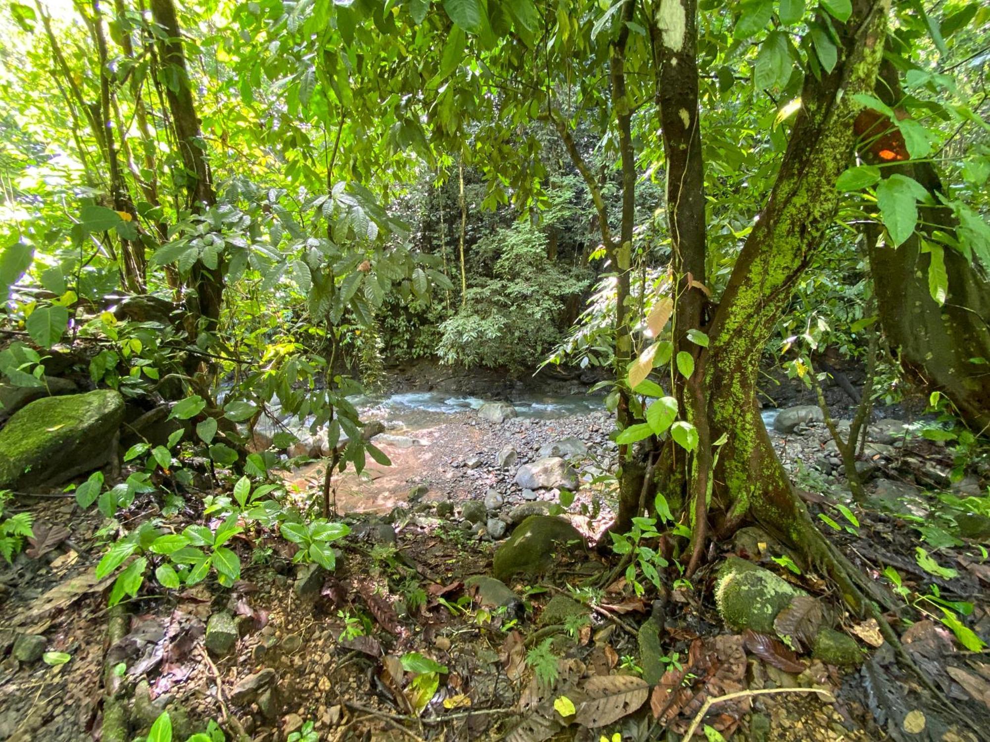 Casa River Stone Al Pie Del Rio Ojochal Dış mekan fotoğraf