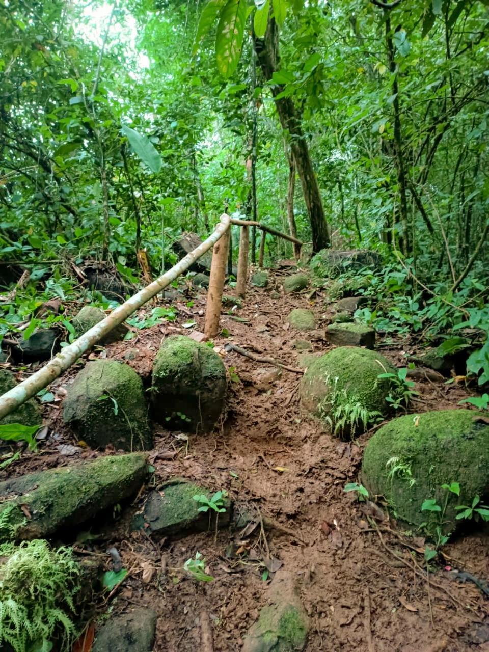 Casa River Stone Al Pie Del Rio Ojochal Dış mekan fotoğraf